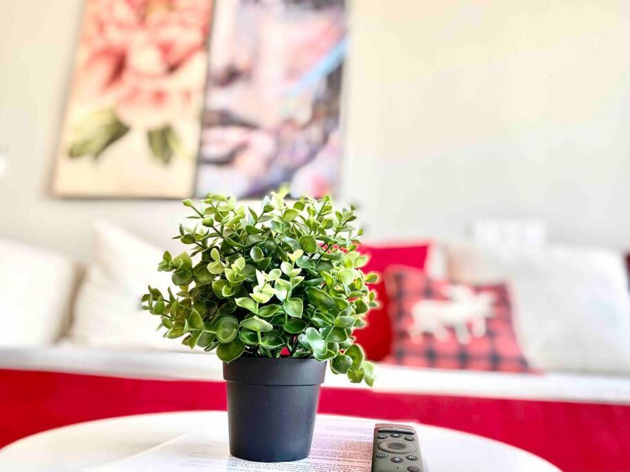 Tropicana 218 Macalister #Wondercolor #Infinity Pool #Georgetown #5Pax #2Br 2Bath #1King 1Queen 1Single #Quality Well Maintained #Private Host Extérieur photo